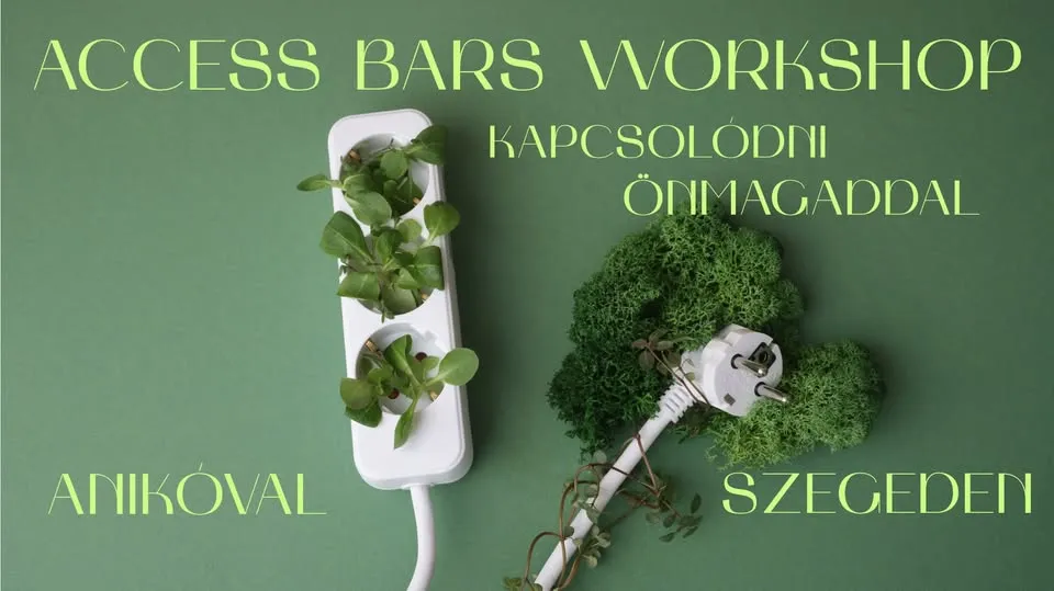 Access Bars Workshop Anikóval